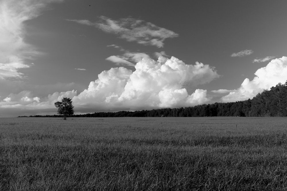 Photograph by Валентин Молодин