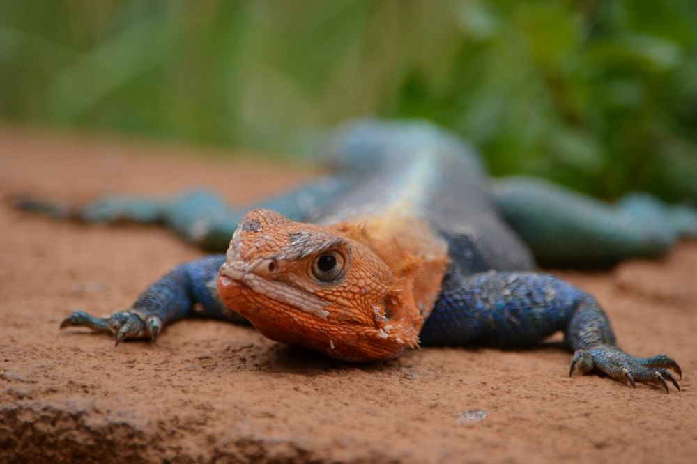 Photograph by Ольга Садохова