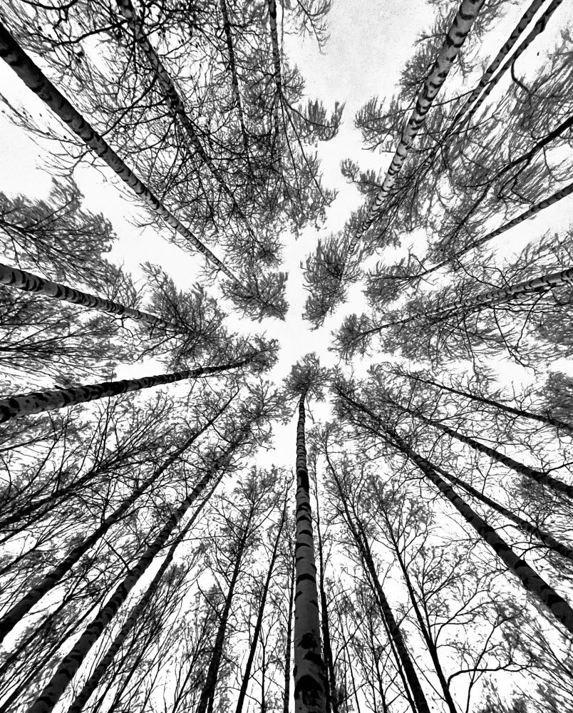 Photograph by Татьяна Мустафина