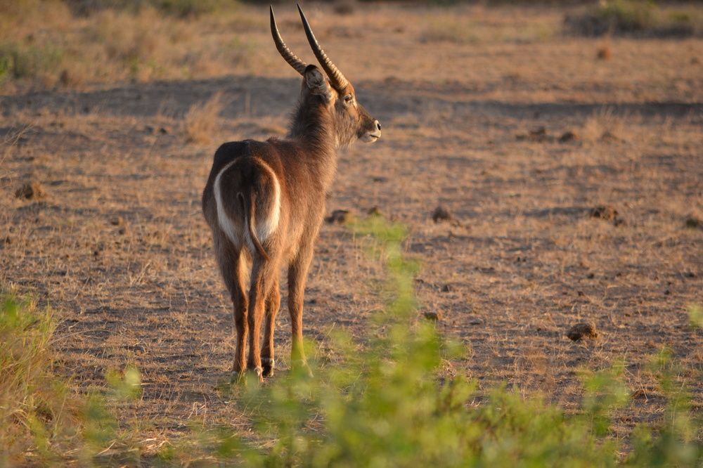 Photograph by Ольга Садохова