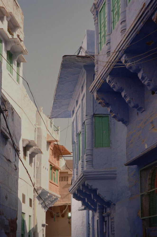 Colors of Jodhpur: A Street Full of Life