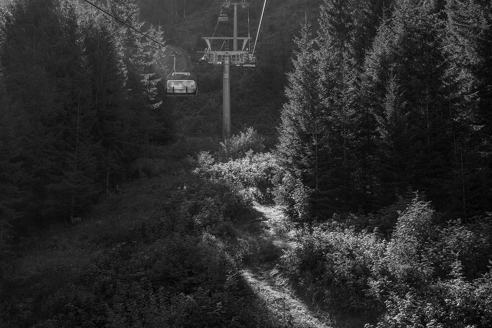 Photograph by Renee Johansson