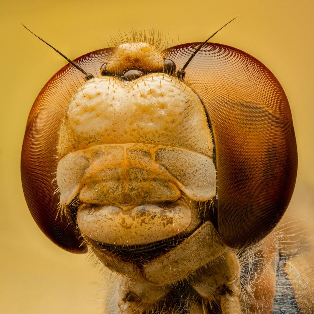 Photograph by Юрий Юрьевич Подгрушный