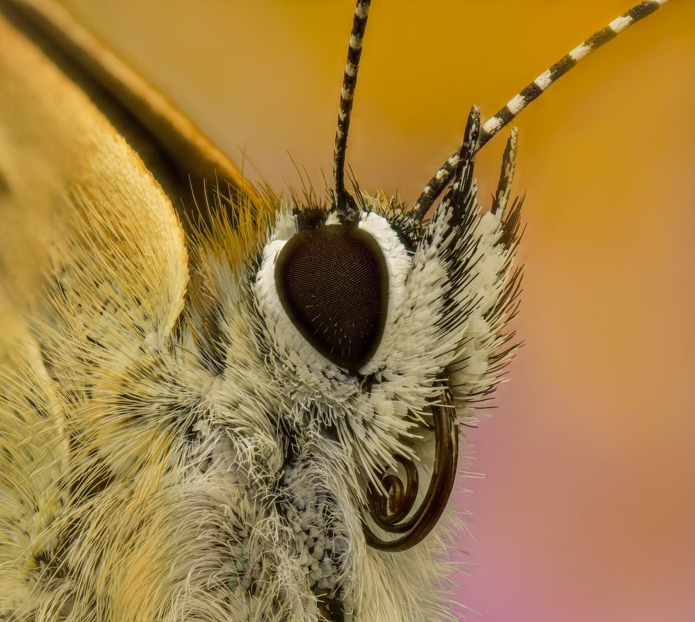 Photograph by Юрий Юрьевич Подгрушный