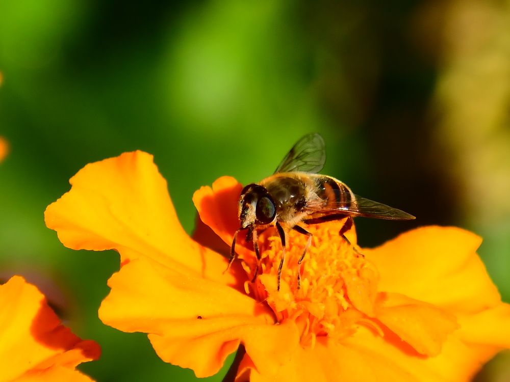 Photograph by Николай Абакумов