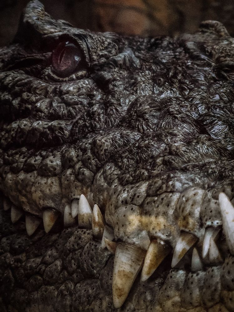 Photograph by Игорь Кабанов