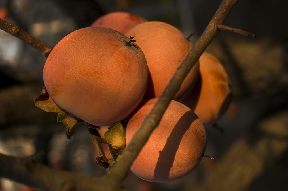 Photograph by Валентина Рябуха