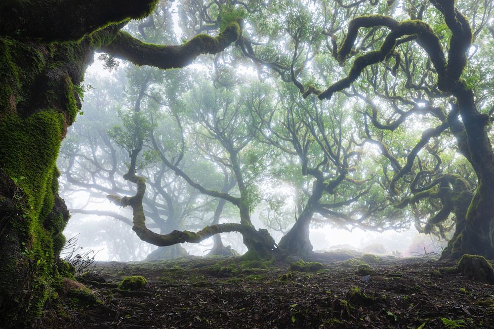 Фотография автора Daniel Knezevic