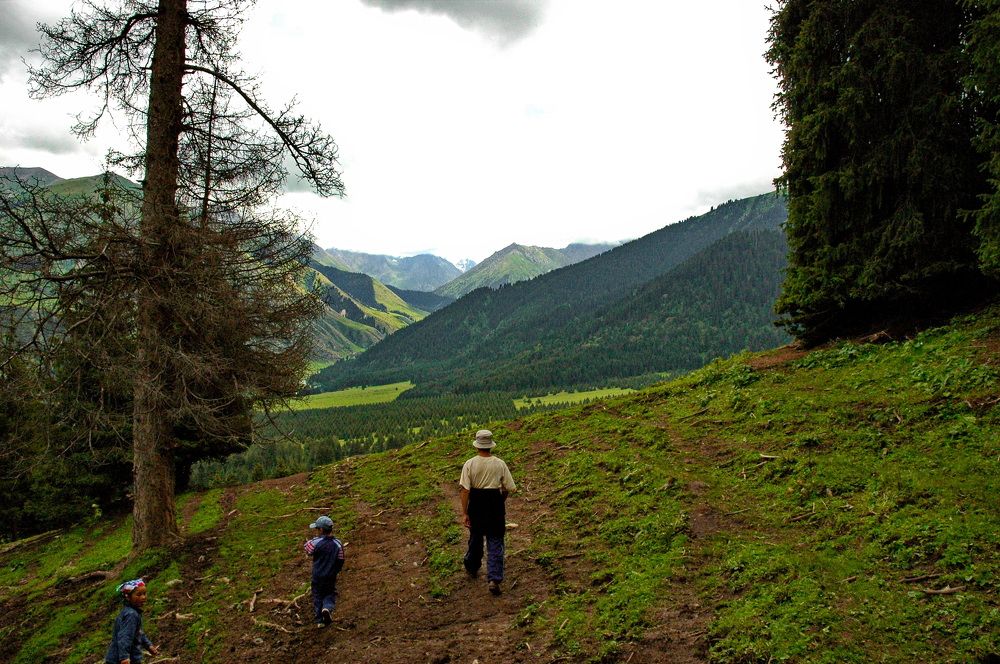 Фотография автора Сергей Тимофеев
