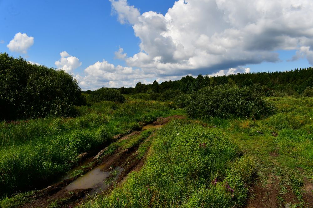 Photograph by Николай Абакумов