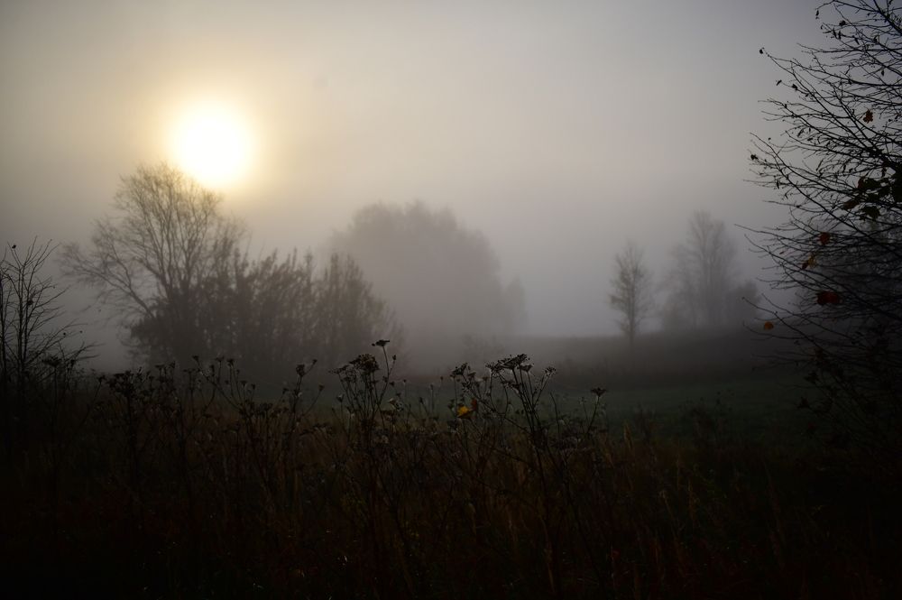 Photograph by Николай Абакумов