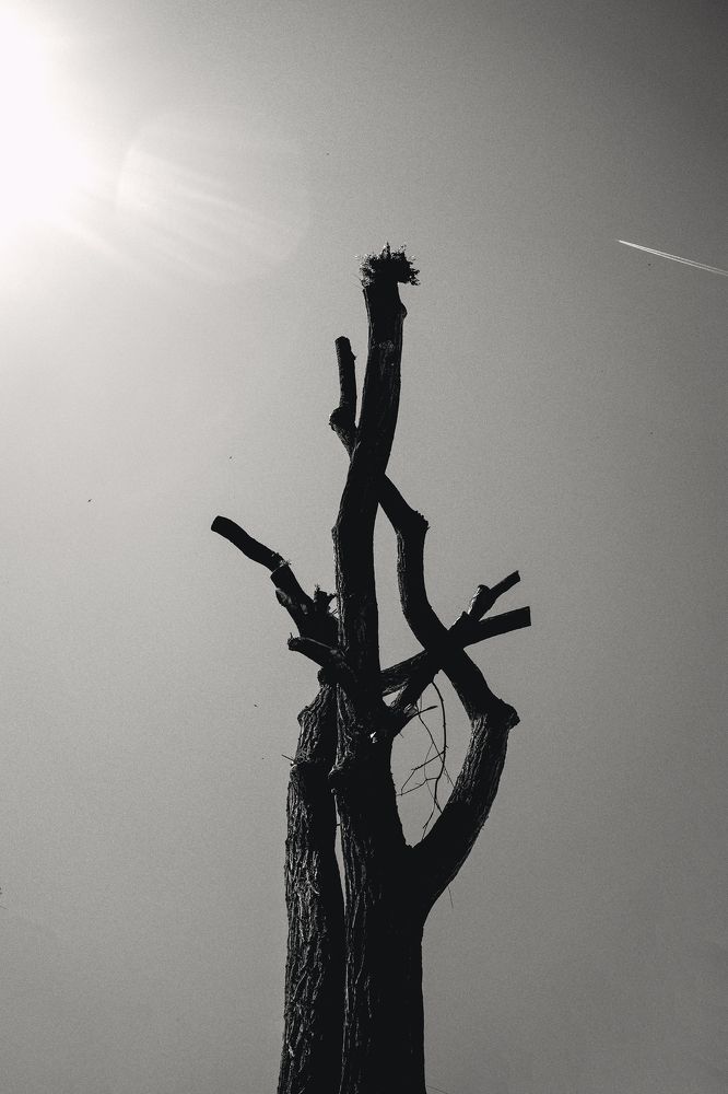 Photograph by Анастасия Бурая