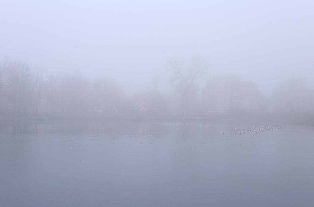 Photograph by Людмила Войтулевич