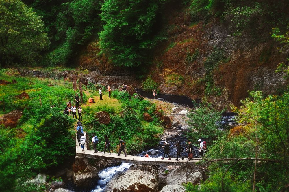 Photograph by mohammad mehdi pourorouj