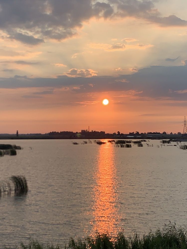 Фотография автора Ирина Шпаковская