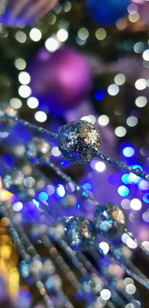 Фотография автора Elena Dzeravianka