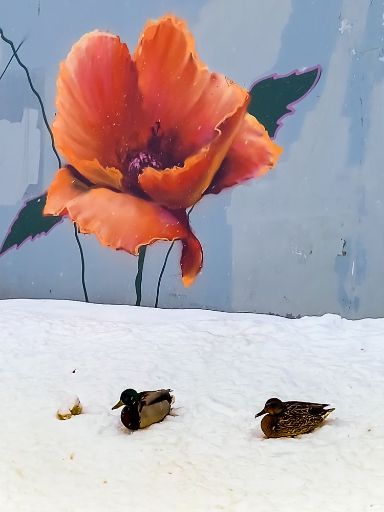 Photograph by Наталья Колеватова