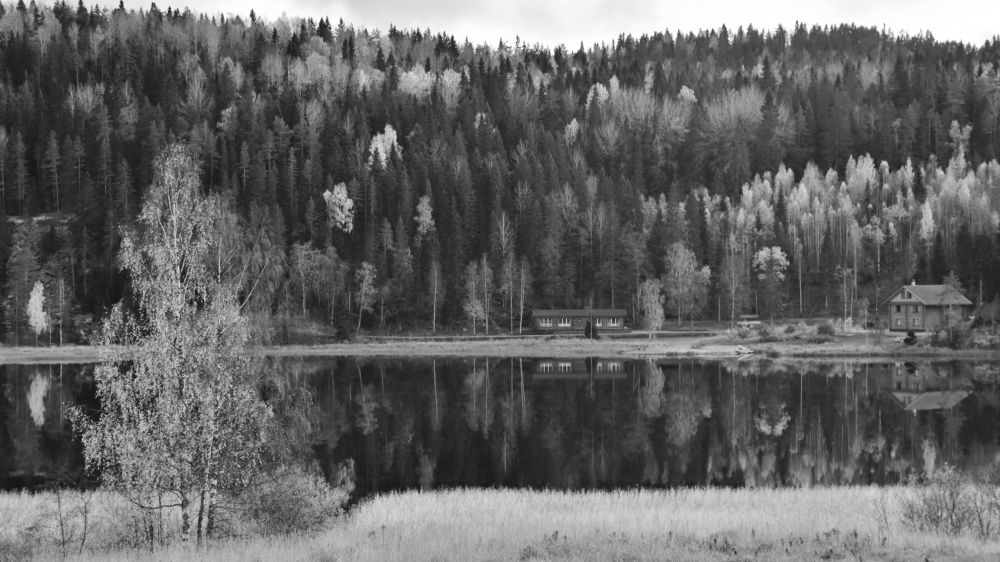 Photograph by Николай Раппу