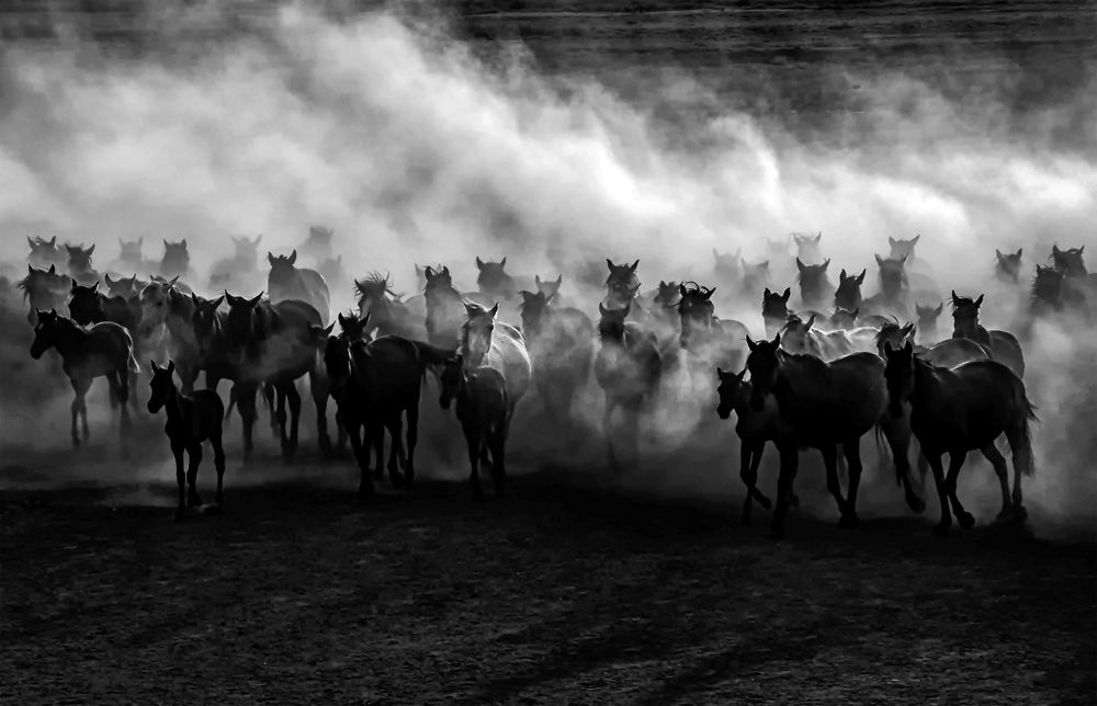 Photograph by Güzin Gülfidan