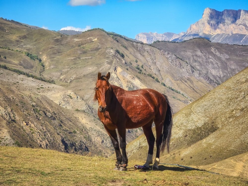 Photograph by Игорь Кабанов