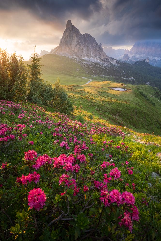 Фотография автора Daniel Knezevic