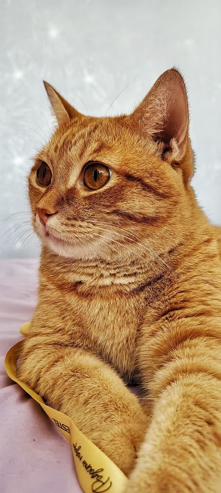 Photograph by Елена Легенда