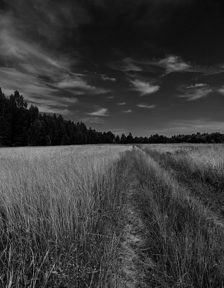 Фотография автора Михаил Кабанов