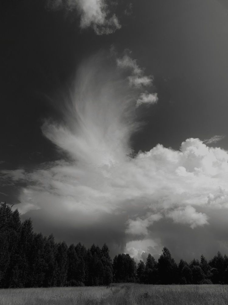 Фотография автора Михаил Кабанов