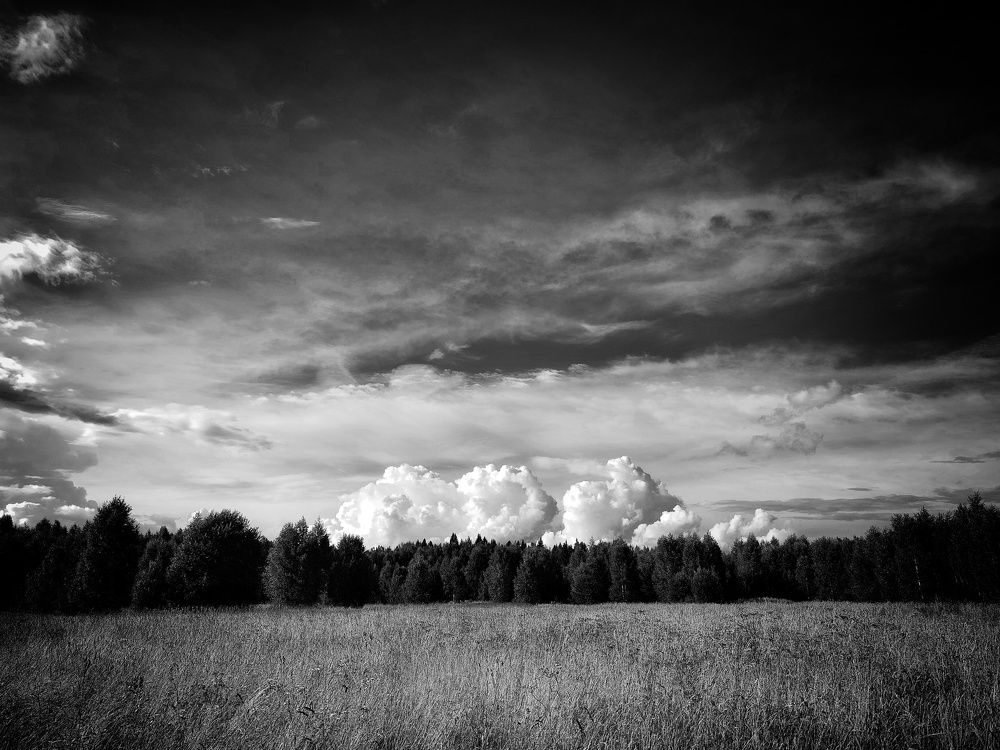 Фотография автора Михаил Кабанов