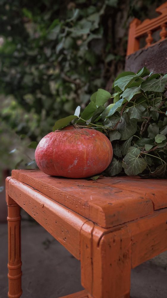 Photograph by Александра Кропивка