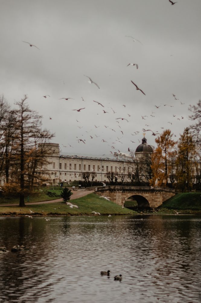 Photograph by Anna Dubinina