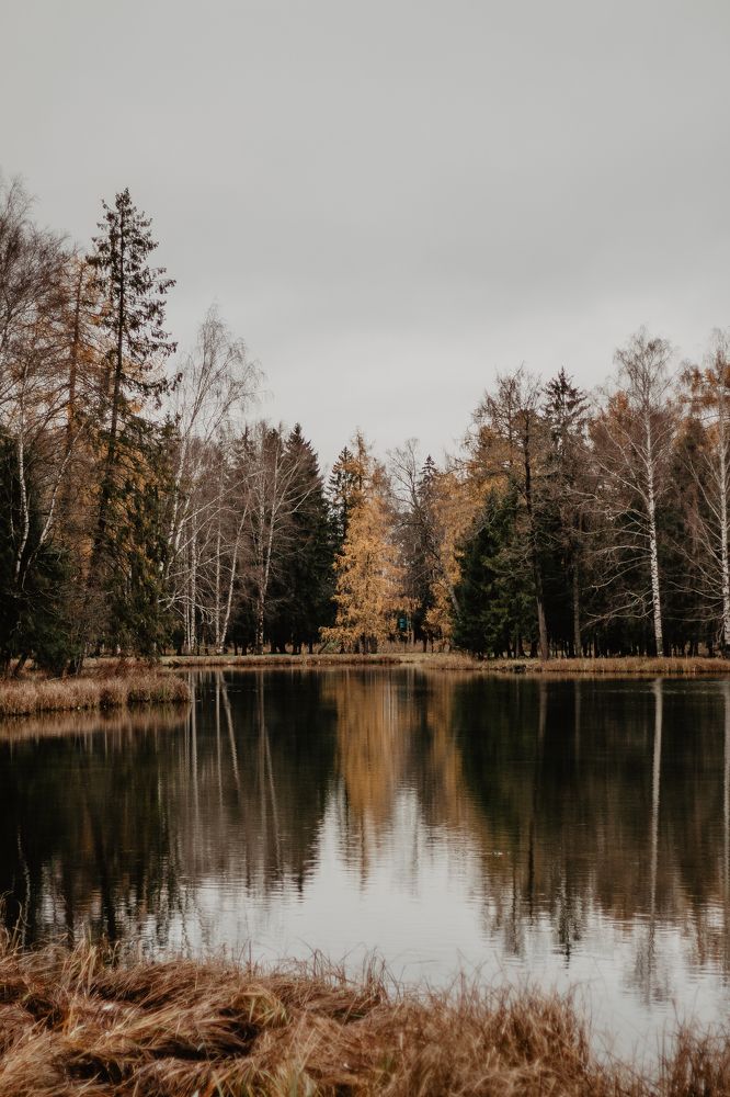 Photograph by Anna Dubinina