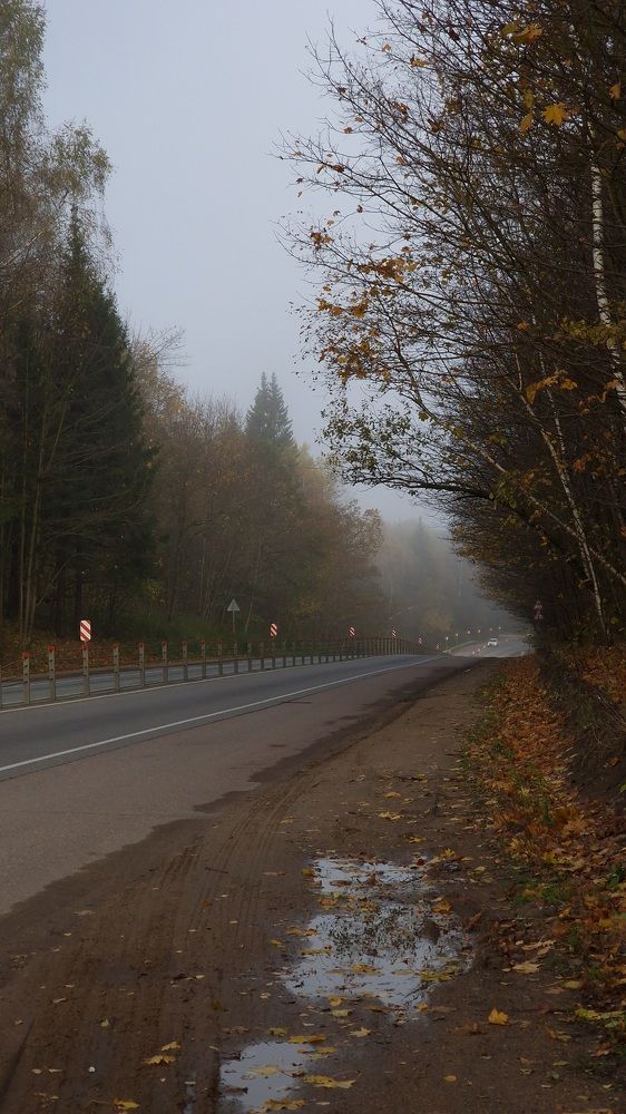 Дороги, которые мы выбираем.