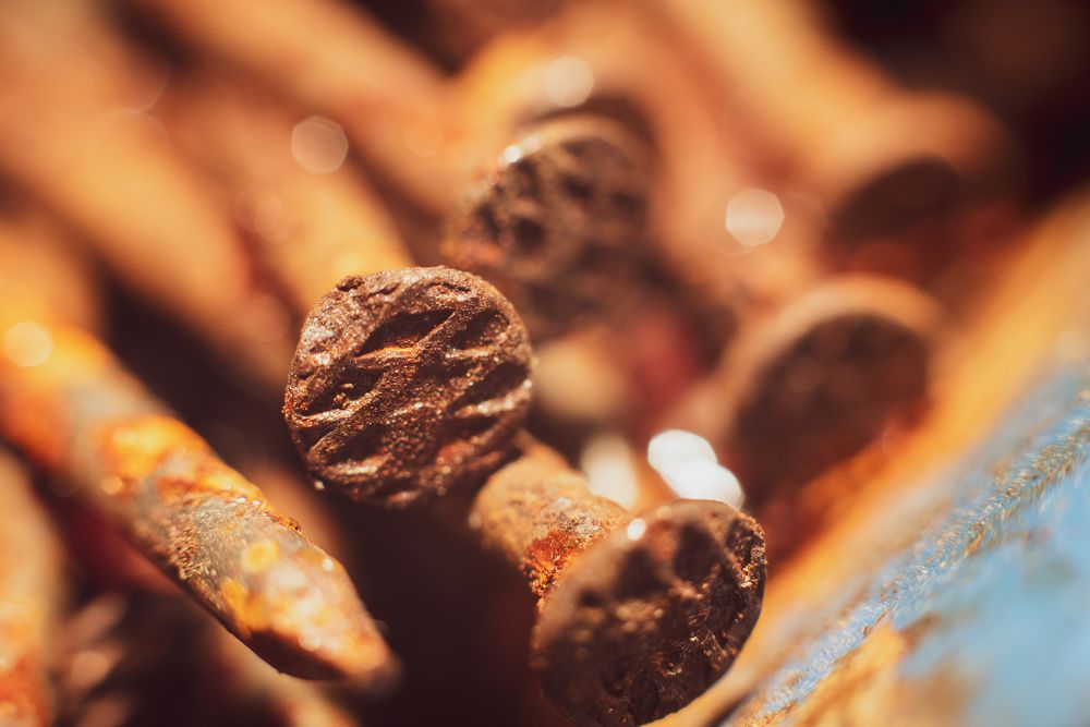 Фотография автора Войнов Дмитрий