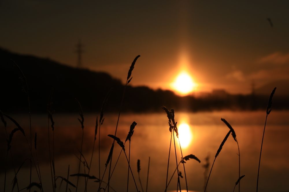 Photograph by Евгения Казакова