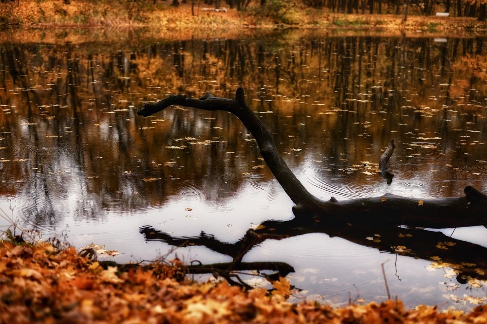 Photograph by Евгения Казакова