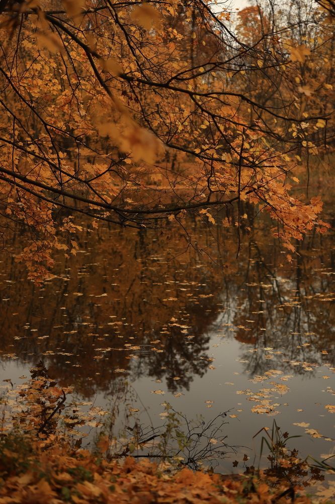 Photograph by Евгения Казакова