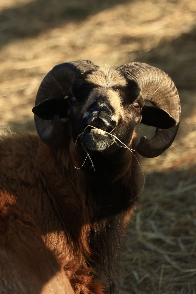 Photograph by Евгения Казакова