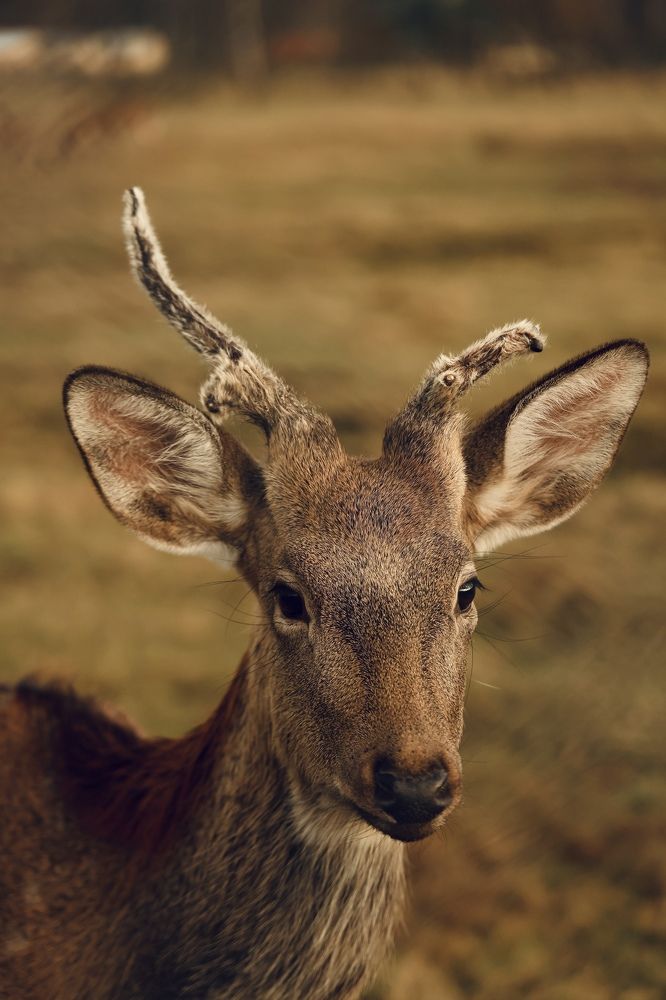 Photograph by Евгения Казакова