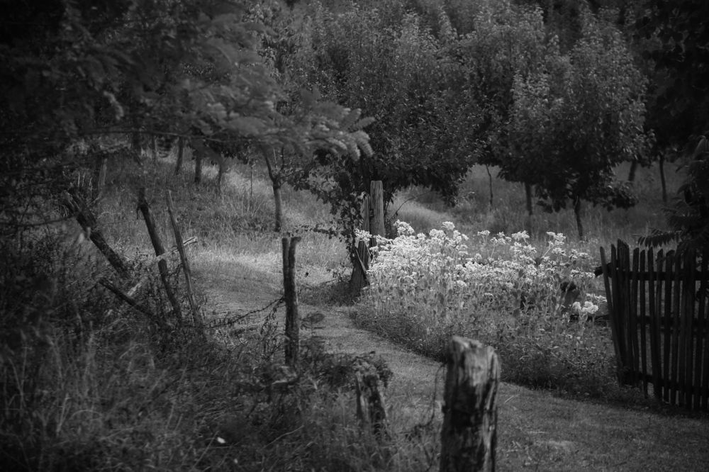 Photograph by Елена Хорошильцева