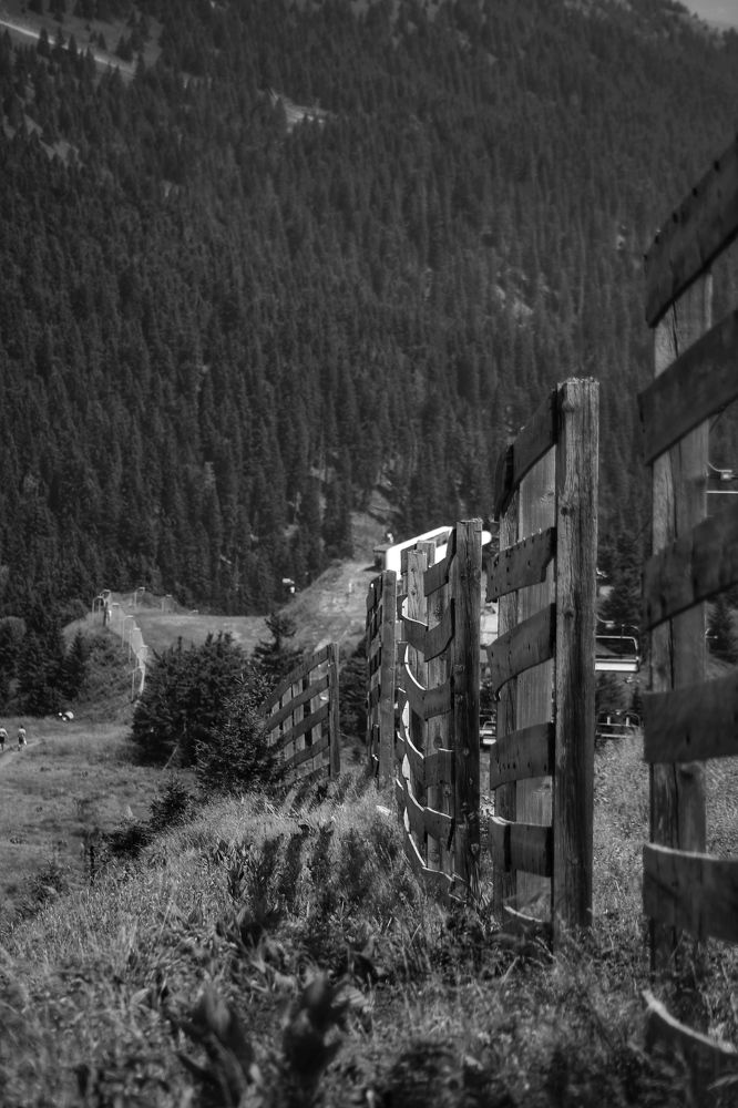 Photograph by Елена Хорошильцева