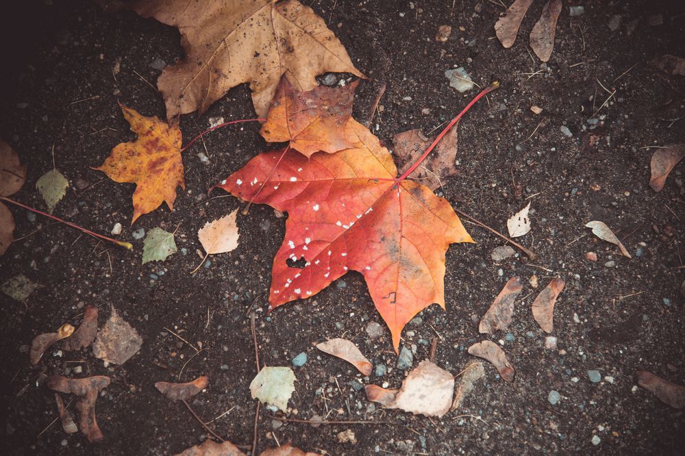 Фотография автора Войнов Дмитрий