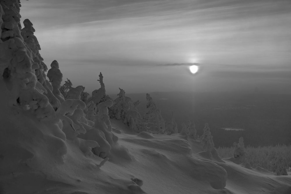 Фотография автора Светлана Зимина