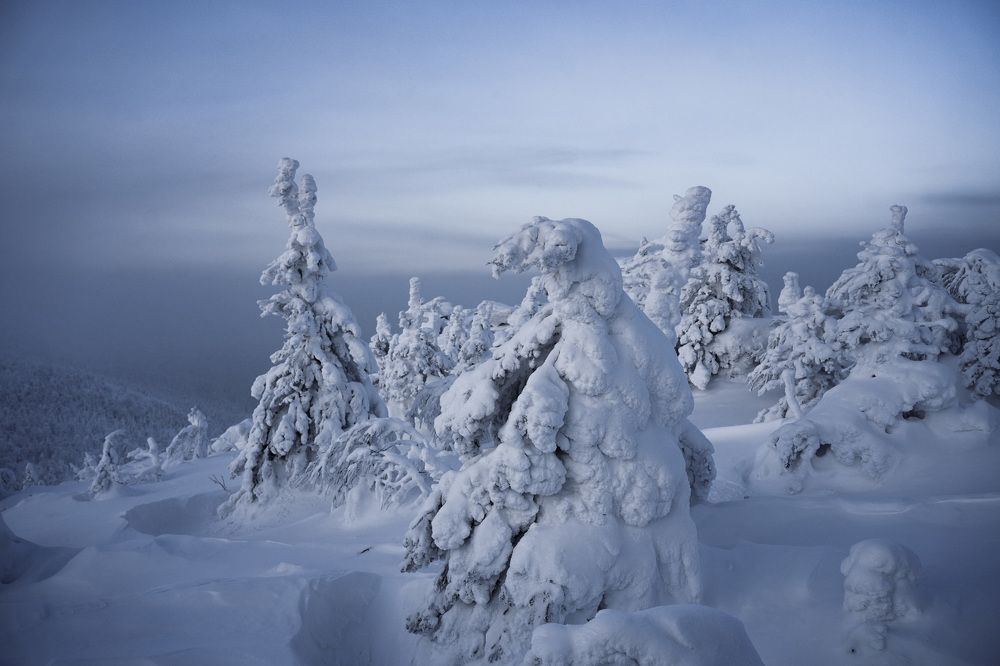 Photograph by Светлана Зимина