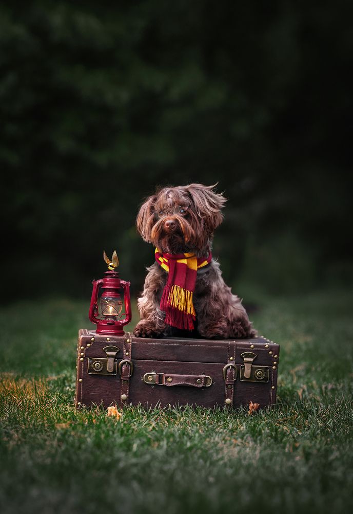 Фотография автора Eugenia Tuzova