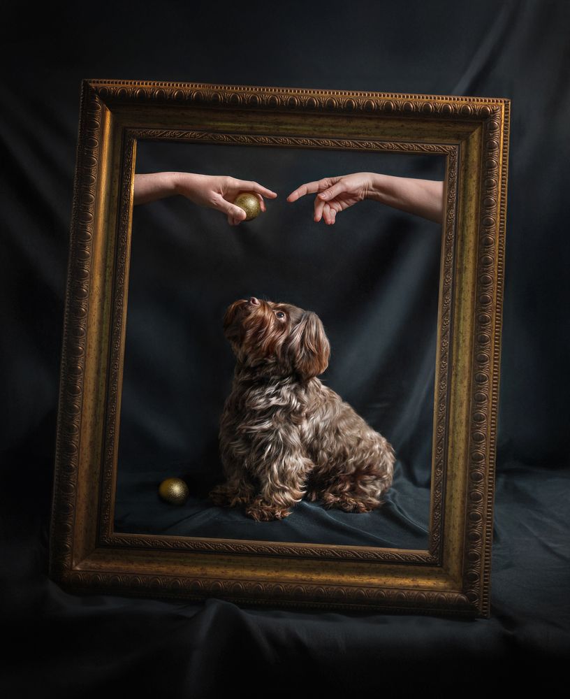 Фотография автора Eugenia Tuzova