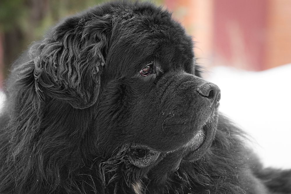 Photograph by Олег Тыркин