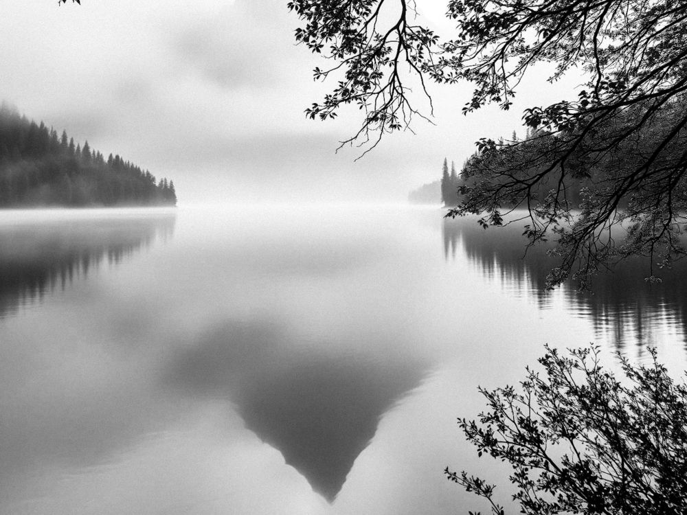 Photograph by Олена Уманцева