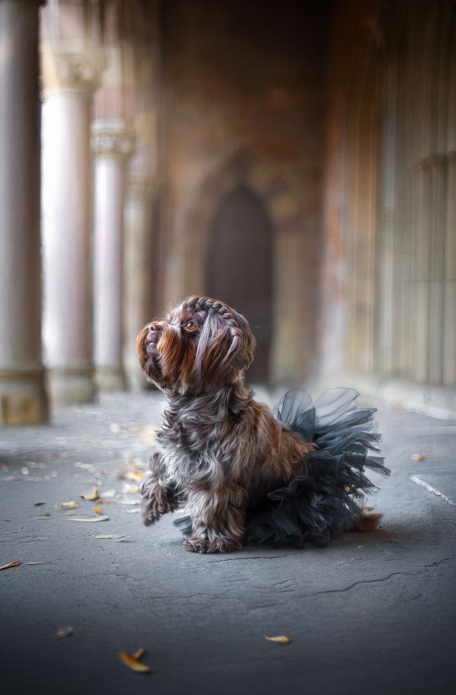 Фотография автора Eugenia Tuzova