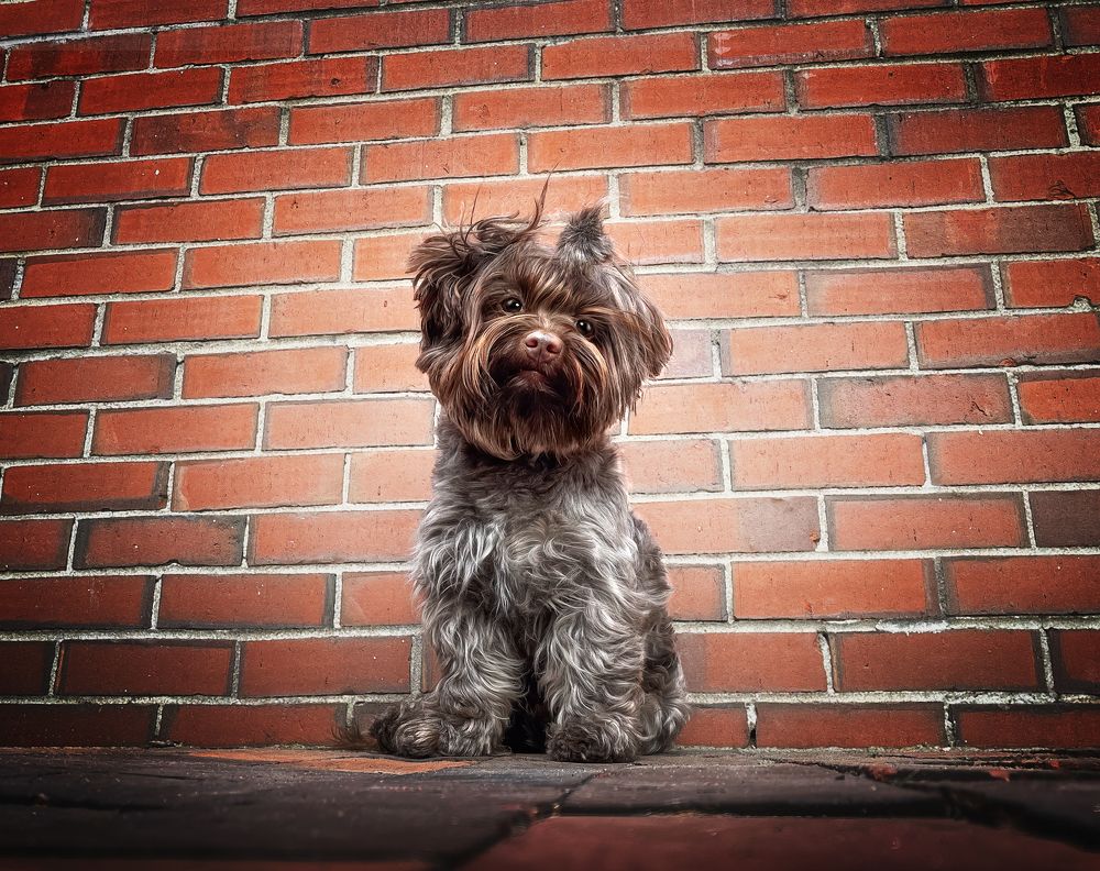 Фотография автора Eugenia Tuzova